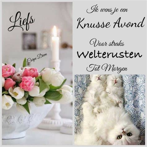 welterusten berichtjes voor hem|135 Sweet Goodnight